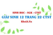 Giải Sinh 12 trang 22 Chân trời Sáng tạo